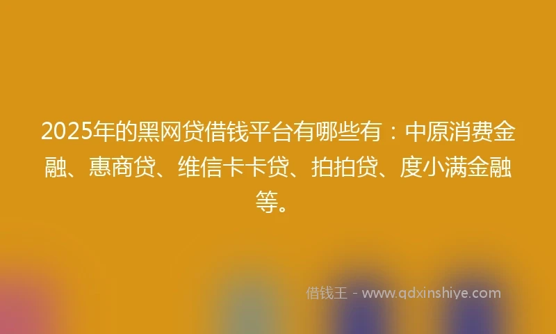 2025年的黑网贷借钱平台有哪些有：中原消费金融、惠商贷、维信卡卡贷、拍拍贷、度小满金融等。