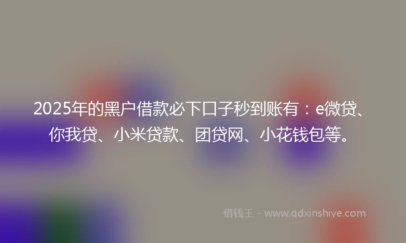 2025年的黑户借款必下口子秒到账有：e微贷、你我贷、小米贷款、团贷网、小花钱包等。