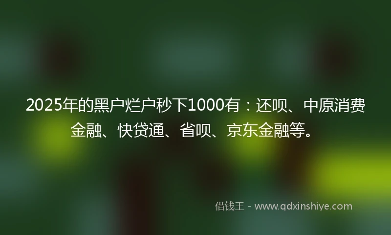 2025年的黑户烂户秒下1000有：还呗、中原消费金融、快贷通、省呗、京东金融等。