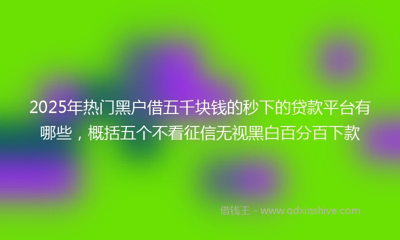 2025年热门黑户借五千块钱的秒下的贷款平台有哪些，概括五个不看征信无视黑白百分百下款