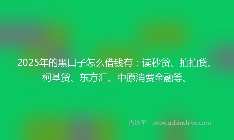 2025年的黑口子怎么借钱有：读秒贷、拍拍贷、柯基贷、东方汇、中原消费金融等。