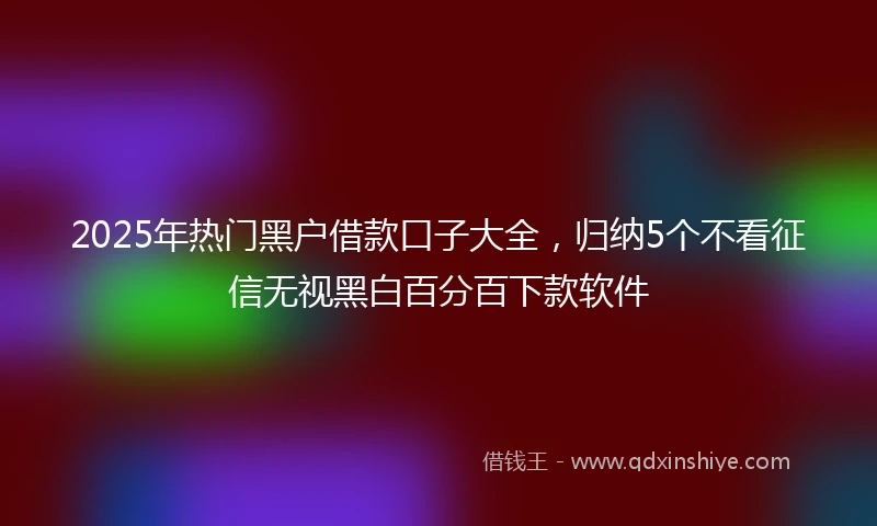 2025年热门黑户借款口子大全，归纳5个不看征信无视黑白百分百下款软件