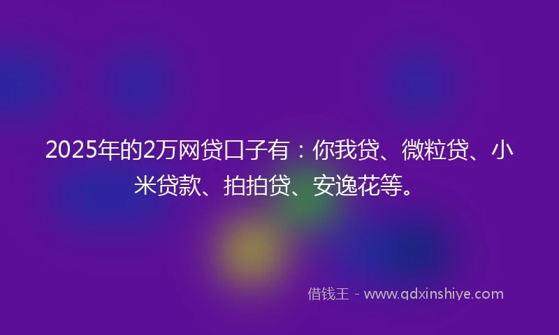 2025年的2万网贷口子有：你我贷、微粒贷、小米贷款、拍拍贷、安逸花等。