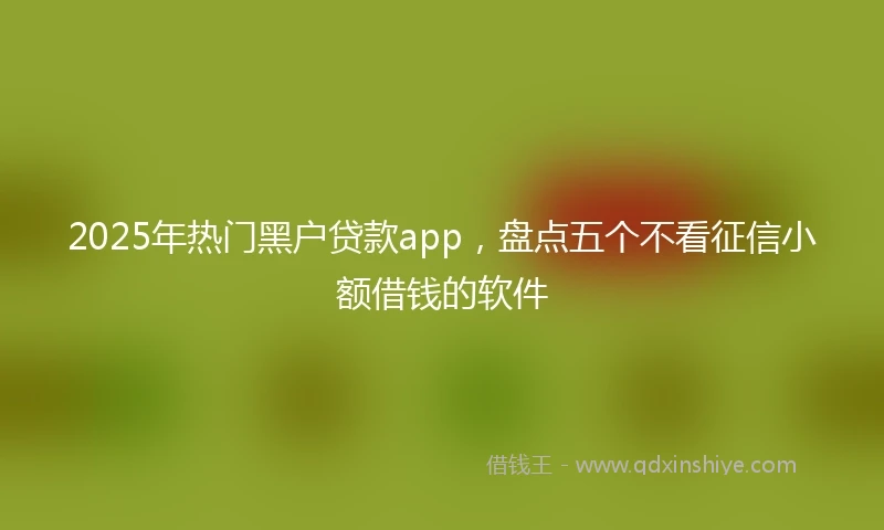 2025年热门黑户贷款app，盘点五个不看征信小额借钱的软件