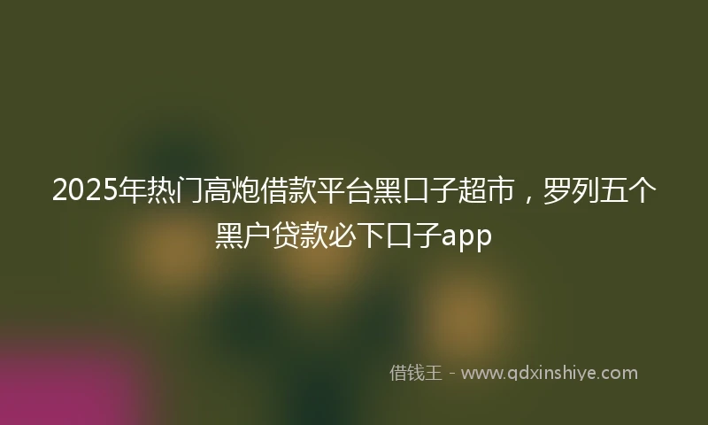 2025年热门高炮借款平台黑口子超市，罗列五个黑户贷款必下口子app