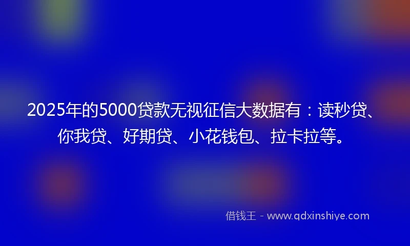2025年的5000贷款无视征信大数据有：读秒贷、你我贷、好期贷、小花钱包、拉卡拉等。