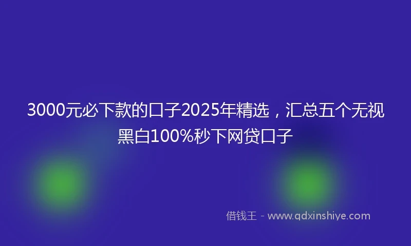 3000元必下款的口子2025年精选，汇总五个无视黑白100%秒下网贷口子