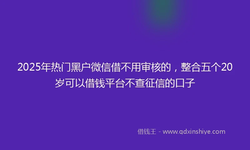 2025年热门黑户微信借不用审核的，整合五个20岁可以借钱平台不查征信的口子