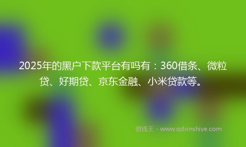 2025年的黑户下款平台有吗有：360借条、微粒贷、好期贷、京东金融、小米贷款等。