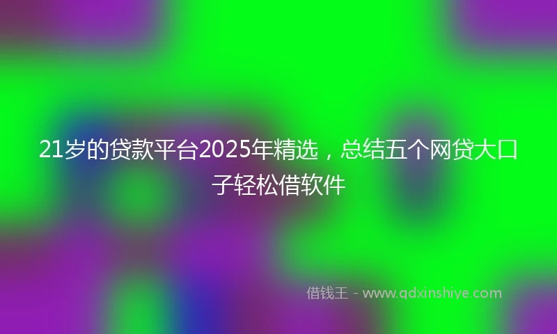 21岁的贷款平台2025年精选，总结五个网贷大口子轻松借软件