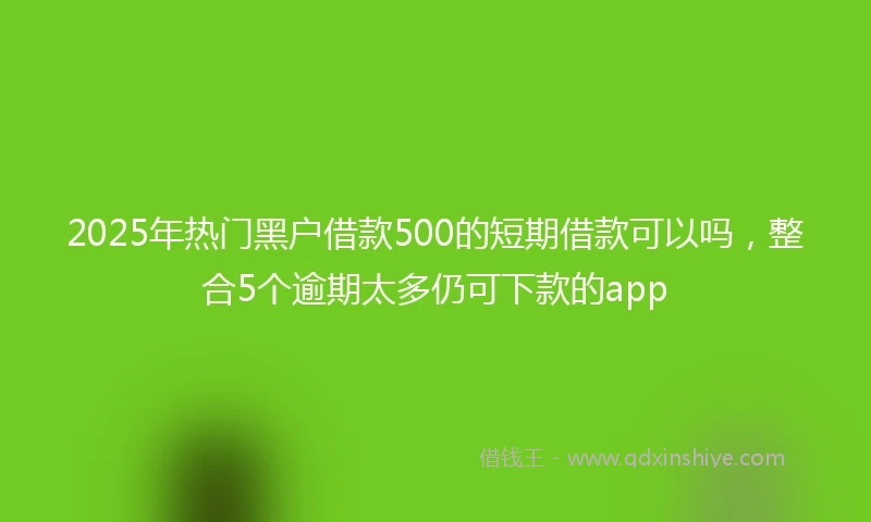 2025年热门黑户借款500的短期借款可以吗，整合5个逾期太多仍可下款的app