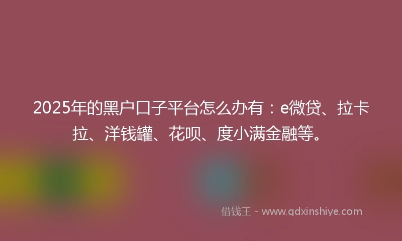 2025年的黑户口子平台怎么办有：e微贷、拉卡拉、洋钱罐、花呗、度小满金融等。