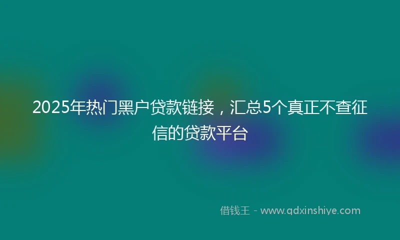 2025年热门黑户贷款链接，汇总5个真正不查征信的贷款平台