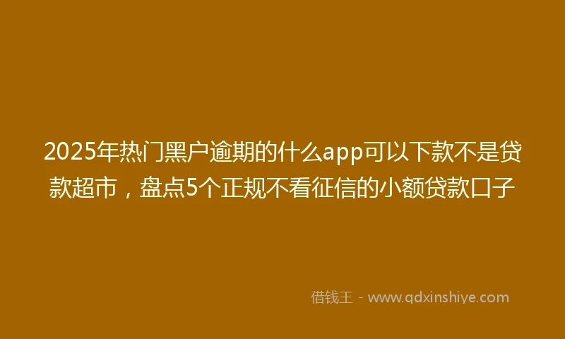 2025年热门黑户逾期的什么app可以下款不是贷款超市，盘点5个正规不看征信的小额贷款口子