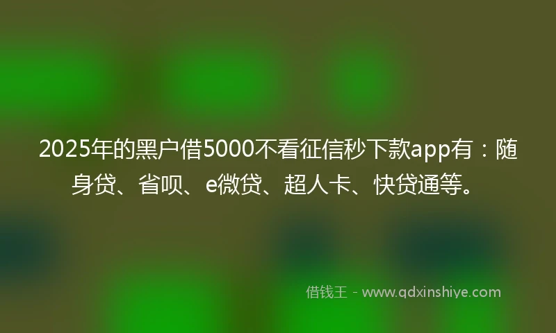 2025年的黑户借5000不看征信秒下款app有：随身贷、省呗、e微贷、超人卡、快贷通等。