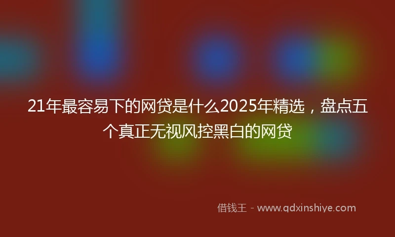 21年最容易下的网贷是什么2025年精选，盘点五个真正无视风控黑白的网贷