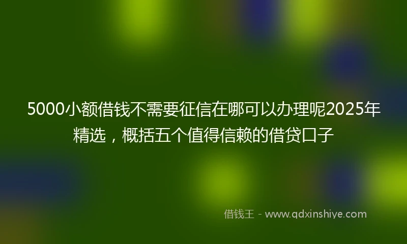 5000小额借钱不需要征信在哪可以办理呢2025年精选，概括五个值得信赖的借贷口子