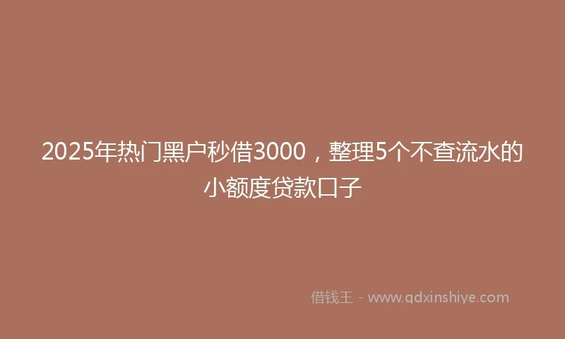 2025年热门黑户秒借3000，整理5个不查流水的小额度贷款口子