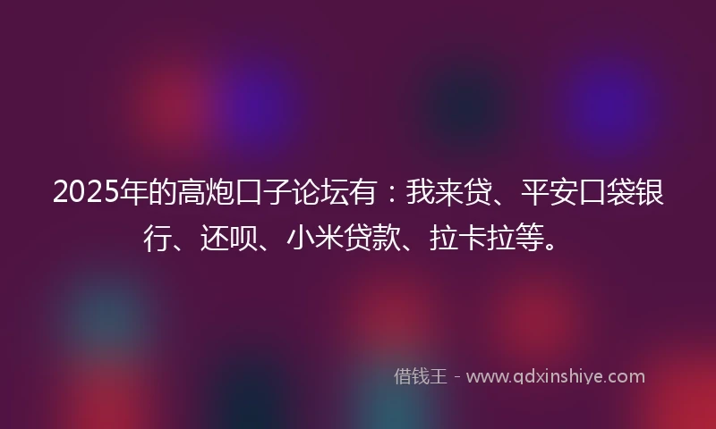 2025年的高炮口子论坛有：我来贷、平安口袋银行、还呗、小米贷款、拉卡拉等。