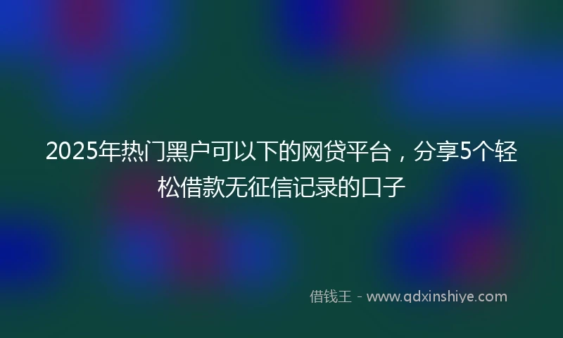 2025年热门黑户可以下的网贷平台，分享5个轻松借款无征信记录的口子