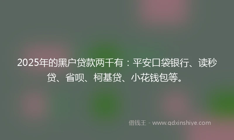 2025年的黑户贷款两千有：平安口袋银行、读秒贷、省呗、柯基贷、小花钱包等。
