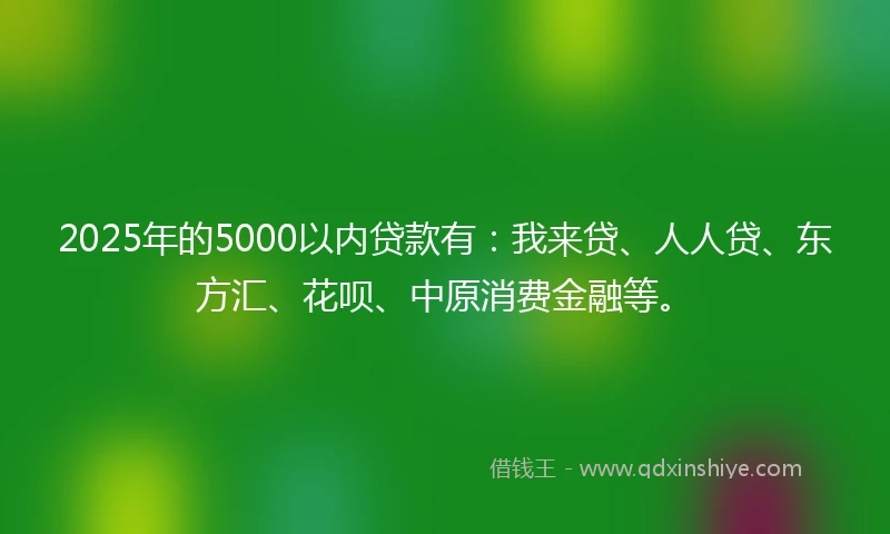 2025年的5000以内贷款有：我来贷、人人贷、东方汇、花呗、中原消费金融等。