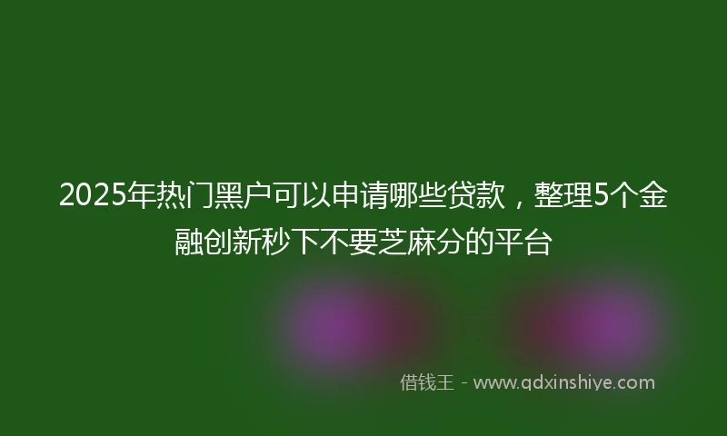 2025年热门黑户可以申请哪些贷款，整理5个金融创新秒下不要芝麻分的平台