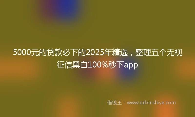 5000元的贷款必下的2025年精选，整理五个无视征信黑白100%秒下app