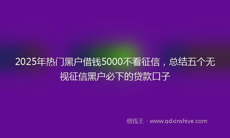 2025年热门黑户借钱5000不看征信，总结五个无视征信黑户必下的贷款口子