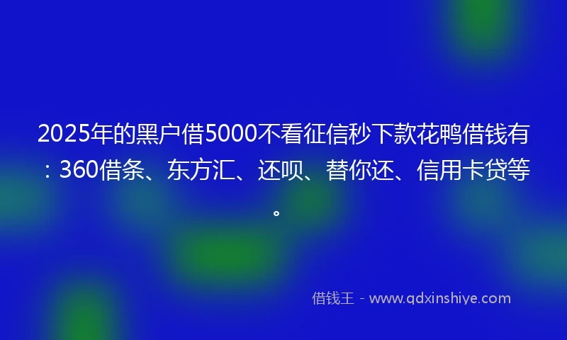 2025年的黑户借5000不看征信秒下款花鸭借钱有：360借条、东方汇、还呗、替你还、信用卡贷等。