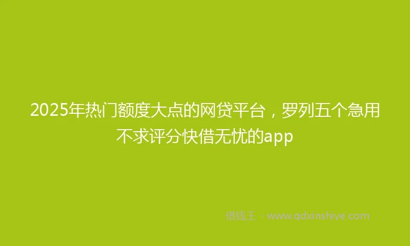 2025年热门额度大点的网贷平台，罗列五个急用不求评分快借无忧的app