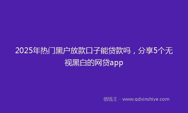 2025年热门黑户放款口子能贷款吗，分享5个无视黑白的网贷app