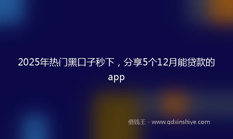 2025年热门黑口子秒下，分享5个12月能贷款的app