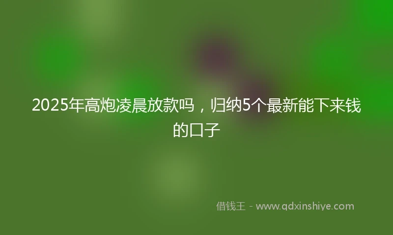 2025年高炮凌晨放款吗，归纳5个最新能下来钱的口子