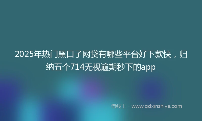 2025年热门黑口子网贷有哪些平台好下款快,归纳五个714无视逾期秒下的app