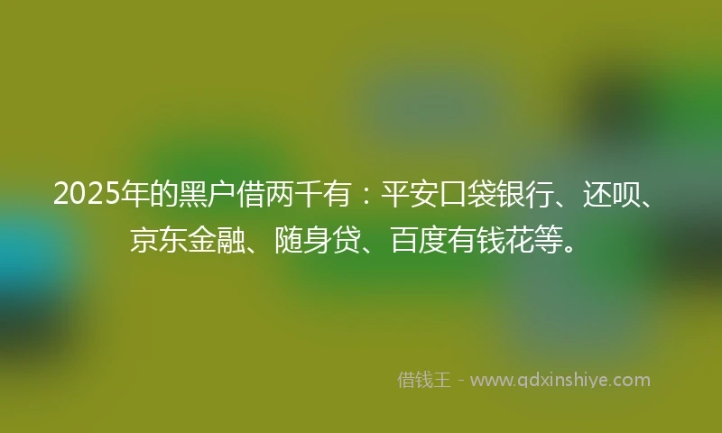 2025年的黑户借两千有：平安口袋银行、还呗、京东金融、随身贷、百度有钱花等。