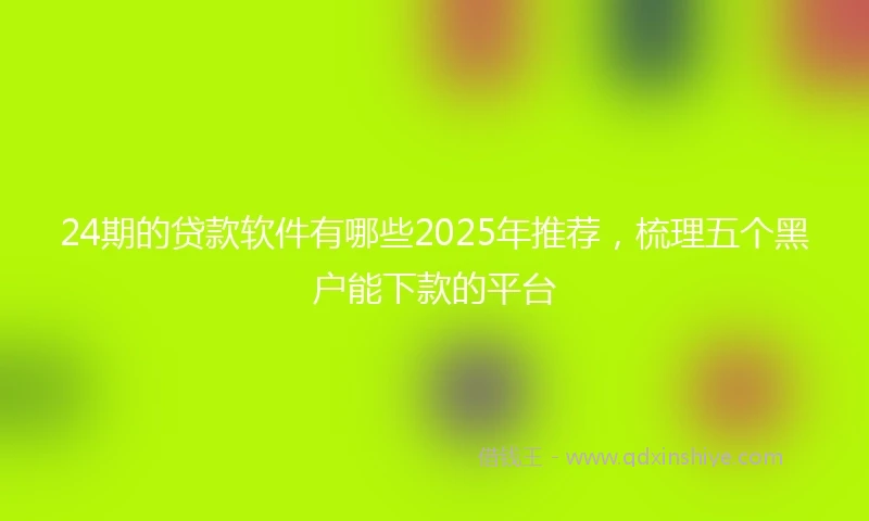 24期的贷款软件有哪些2025年推荐，梳理五个黑户能下款的平台