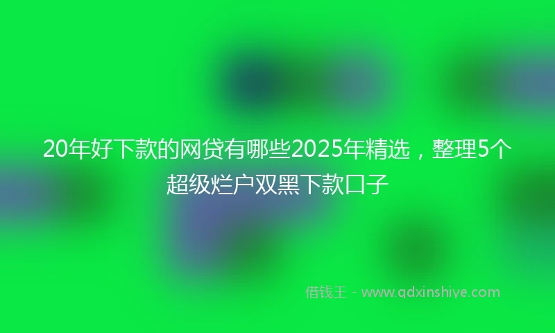 20年好下款的网贷有哪些2025年精选，整理5个超级烂户双黑下款口子