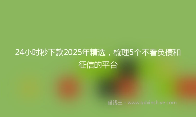 24小时秒下款2025年精选，梳理5个不看负债和征信的平台