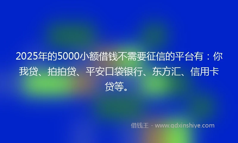 2025年的5000小额借钱不需要征信的平台有：你我贷、拍拍贷、平安口袋银行、东方汇、信用卡贷等。