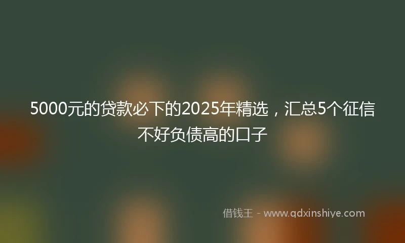 5000元的贷款必下的2025年精选，汇总5个征信不好负债高的口子