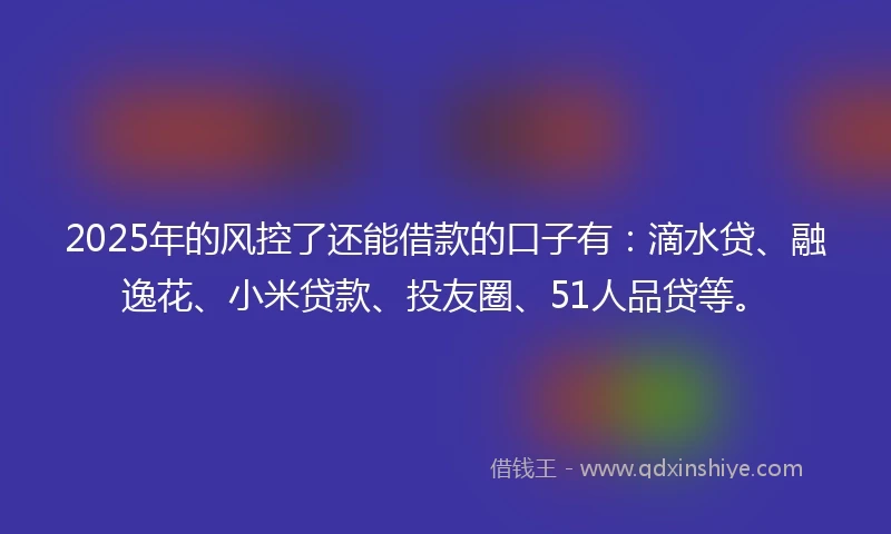 2025年的风控了还能借款的口子有：滴水贷、融逸花、小米贷款、投友圈、51人品贷等。