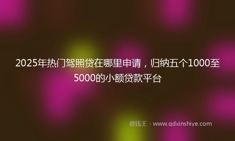 2025年热门驾照贷在哪里申请，归纳五个1000至5000的小额贷款平台