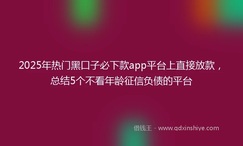 2025年热门黑口子必下款app平台上直接放款，总结5个不看年龄征信负债的平台