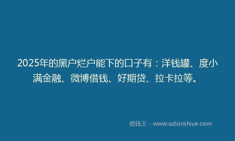 2025年的黑户烂户能下的口子有：洋钱罐、度小满金融、微博借钱、好期贷、拉卡拉等。