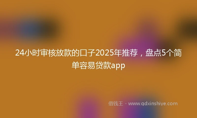 24小时审核放款的口子2025年推荐，盘点5个简单容易贷款app
