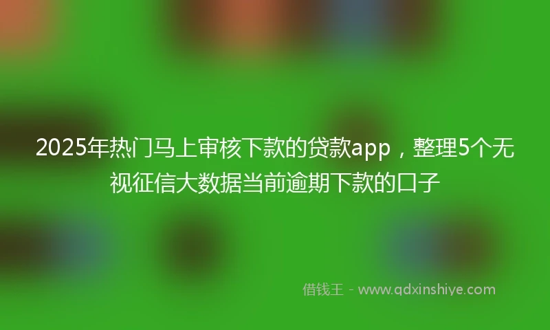 2025年热门马上审核下款的贷款app，整理5个无视征信大数据当前逾期下款的口子
