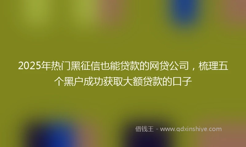 2025年热门黑征信也能贷款的网贷公司，梳理五个黑户成功获取大额贷款的口子