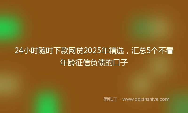 24小时随时下款网贷2025年精选，汇总5个不看年龄征信负债的口子
