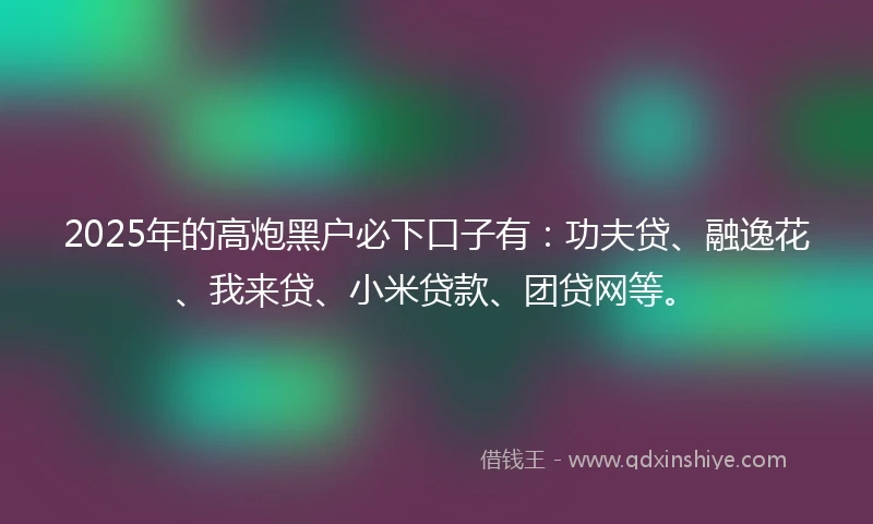 2025年的高炮黑户必下口子有：功夫贷、融逸花、我来贷、小米贷款、团贷网等。